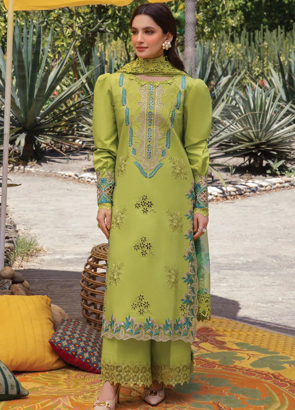 Carnation By Rang Rasiya Embroidered Lawn Suit Unstitched 3 Piece RR24CF D-14 Liana - Summer Collection