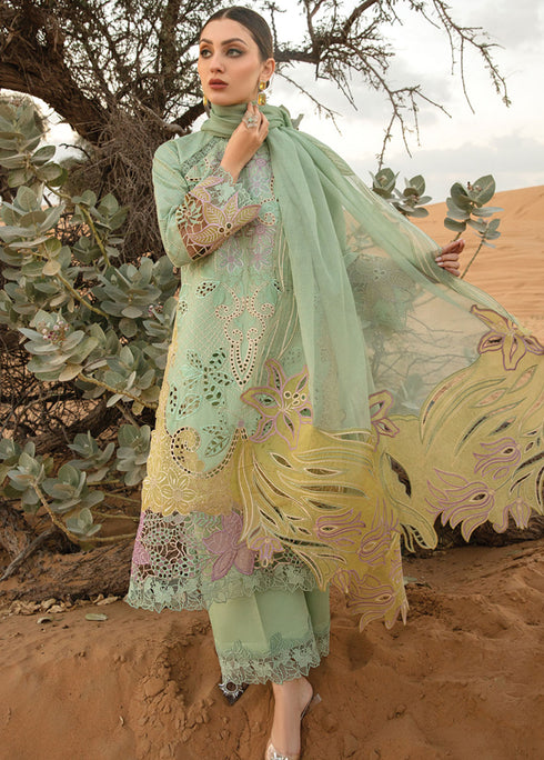 Rang Rasiya Embroidered Lawn Suits Unstitched 3 Piece RR24PS D-08 Elnaz - Summer Collection
